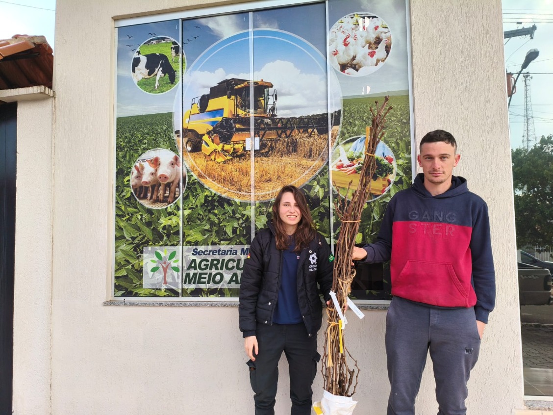 PREFEITURA DE SANTA CECÍLIA DO SUL  BENEFICIA 60 PRODUTORES RURAIS COM PROGRAMA DE INCENTIVO À VITIVINICULTURA E FRUTICULTURA
